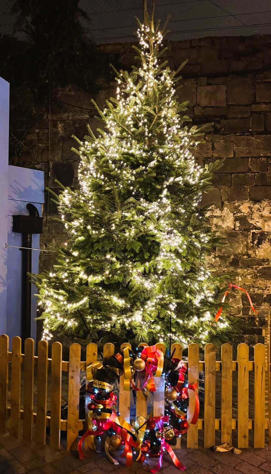 Spreading Christmas Cheer in Sandymount! ?✨